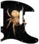 Spider 2 - American Elite Tele