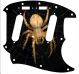Spiders 2