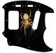 Spider 2