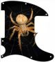Spiders 2 - Avril Lavigne Tele