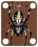 Spider 3