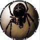 Spider 8