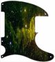 Spider Nebula - Tele Esquire