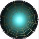 Spider Web 2