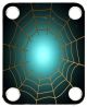 Spider on Web 2