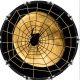 Spider Web 21