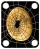 Spider on Web 21