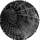 Web Wet 1