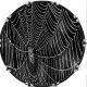 Web Wet 3