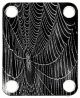 Spider Web Wet 3