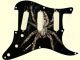 Spider 9