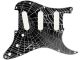 Spider Web Wet 1
