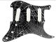 Spider Web Wet 1