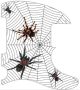 Spiders