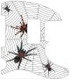 Spiders
