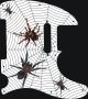 Spiders