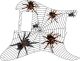 Spiders