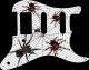 Spiders