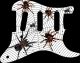Spiders