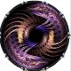 Spiral 25