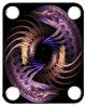 Spiral 25