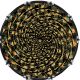 Spiral 29