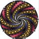 Spiral 5