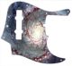 Spiral Galaxy