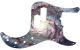Spiral Galaxy