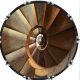 Spiral Staircase