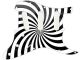 Spiral 19