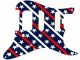 Stars And Stripes 1