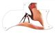 Stiletto Thong