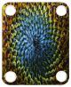 Sun Flower Macro