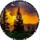 Sunset Tree 3