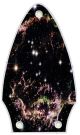 Supernova