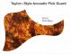 Taylor Acoustic - Swirly Toirtoise Pickguard
