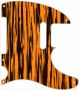 Tawny Stripe