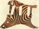 Texture 1 - Vintera '70s Strat