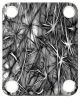 Texture 3