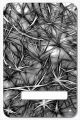 Texture 3