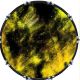 Texture Yellow & Black