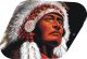 The Chief 2