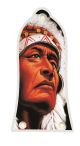 The Chief 2