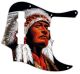 The Chief 2