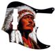 The Chief 2