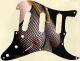 The Necklace - Vintera '50s Strat