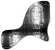The Shroud Black & White
