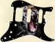 Tiger 1 - HSS Shawbucker Elite Strat