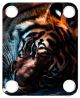 Tiger 2